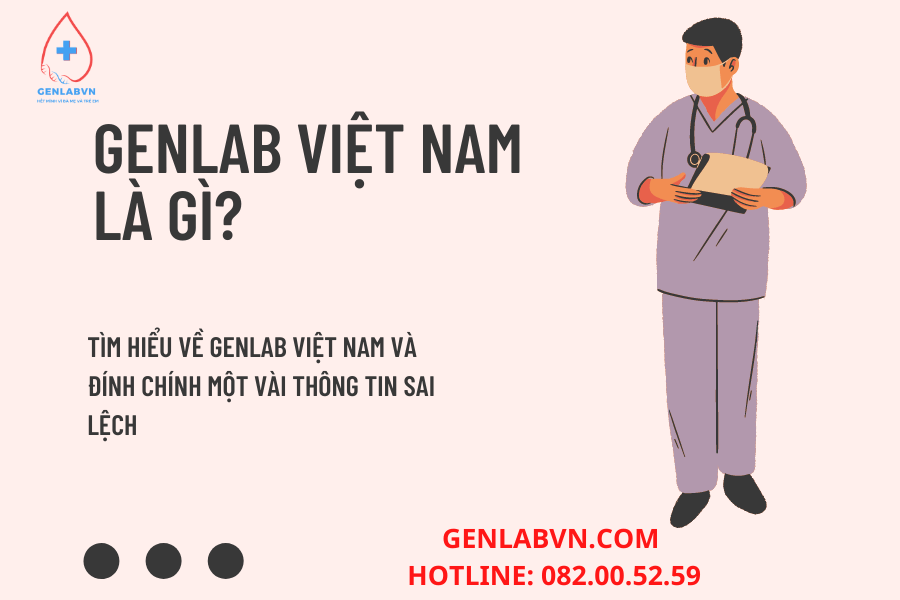 Tìm hiểu về Genlab Việt Nam, cơ cấu và tổ chức một doanh nghiệp