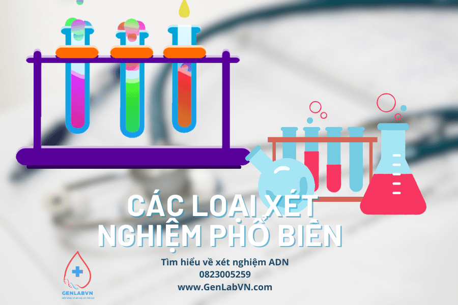 Các loại xét nghiệm phổ biến và ý nghĩa của chúng