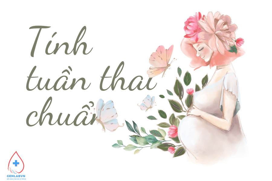 Các cách tính tuổi thai chính xác để hỗ trợ việc theo dõi thai kì.