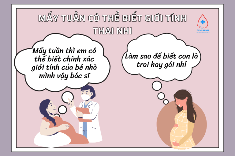 mấy tuần xét nghiệm biết trai hay gái