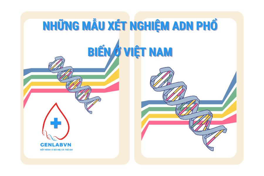 Những loại  mẫu xét nghiệm ADN phổ biến hiện nay ở Việt Nam