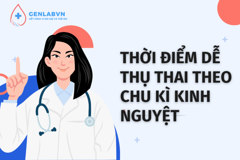 Thời điểm dễ thụ thai nhất trong chu kỳ kinh nguyệt? Điều mọi người nên biết?
